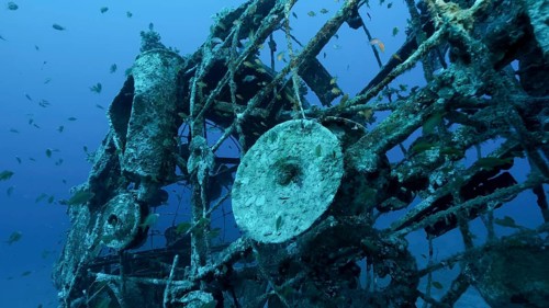 Details of sculpture of an elephant on seabed near swim school of tropical fish. Lighthouse dive site