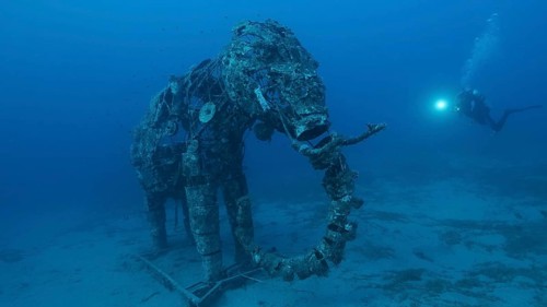 Sculpture of an elephant on the seabed. Lighthouse dive site