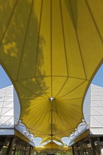 Yellow awning with shadow of a tree