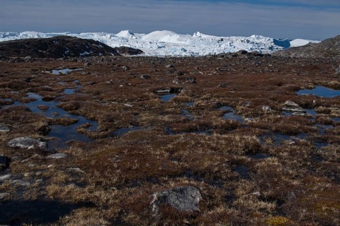 Kangia Glacier on the Icefjord