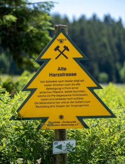 Sign in the shape of a fir tree on the Old Harz Road between Zellerfeld and Goslar