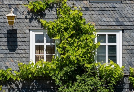 Facade covered with slate shingles of a former restaurant at the Auerhahnteich