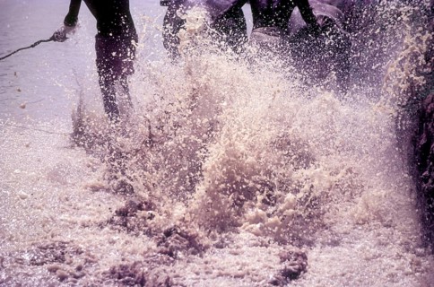 Splashing mud water in Maramadi or Kalappoottu is a type of cattle race conducted in Chithali near Palakkad