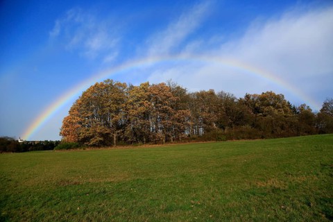 Rainbow over field and woodland near Eschweiler