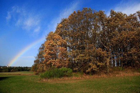 Rainbow over field and woodland near Eschweiler