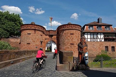 The Lower Gate