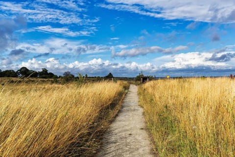 Hiking trail to Furilden nature reserve and bird sanctuary in summer