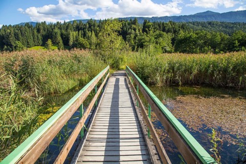 Slow Trail