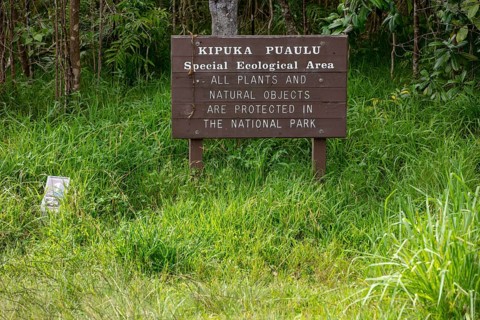 Kipuka Puaulu