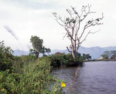 Moyar Lake near Masinagud in Ooty