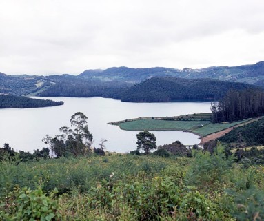 Governar shola and Pykara lake in Nilgiris