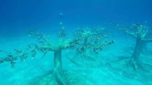 Museum of Underwater Sculpture Ayia Napa