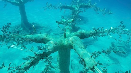 Museum of Underwater Sculpture Ayia Napa