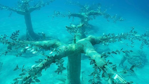 Museum of Underwater Sculpture Ayia Napa