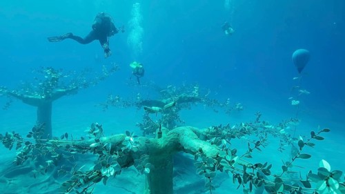 Museum of Underwater Sculpture Ayia Napa