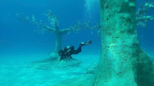 Museum of Underwater Sculpture Ayia Napa