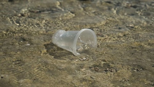 Transparent plastic cup is carried away by the wind to the sea in the coastal zone. Plastic pollution of the surf zone. Red sea