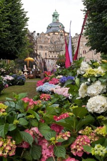 Flowers in front of the castle