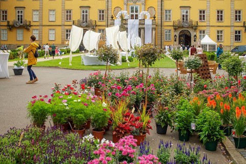 Bueckeburg Castle Country Party