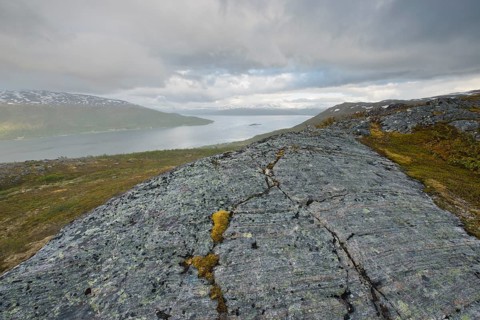 Fjell Landscape