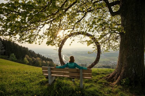 Old lime tree and circle of branches