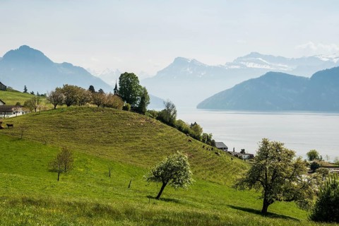 Panorama with lake and mountains