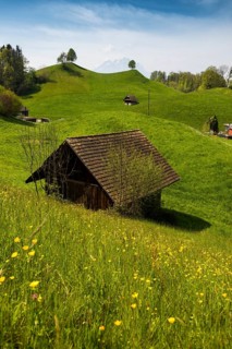 Panorama with huts and hills