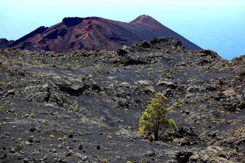 Volcanic landscape