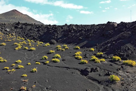 Blue volcanic landscape at Cap de Fuencaliente