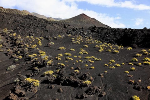 Blue volcanic landscape at Cap de Fuencaliente