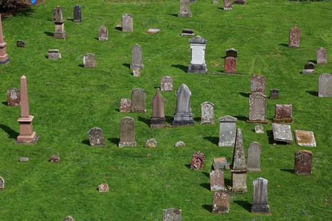 Melrose Abbey