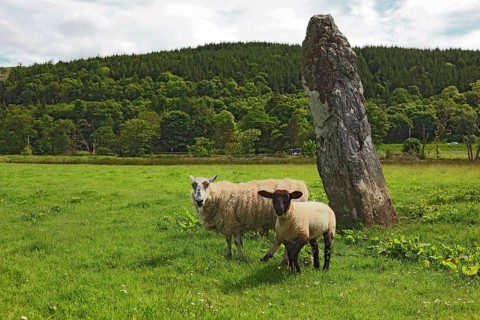 Kilmartin Glen