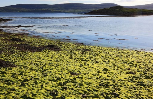 Inner Hebrides