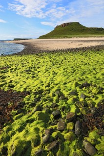 Inner Hebrides