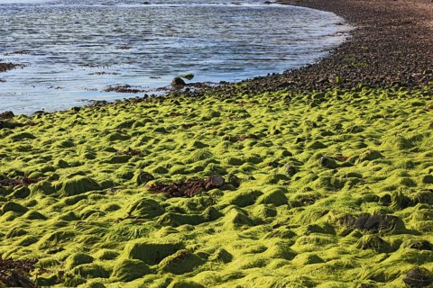 Inner Hebrides