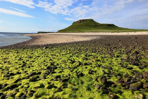 Inner Hebrides