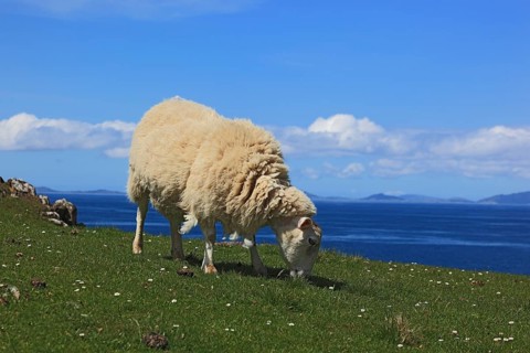 Inner Hebrides