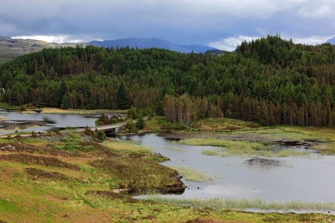 Highlands