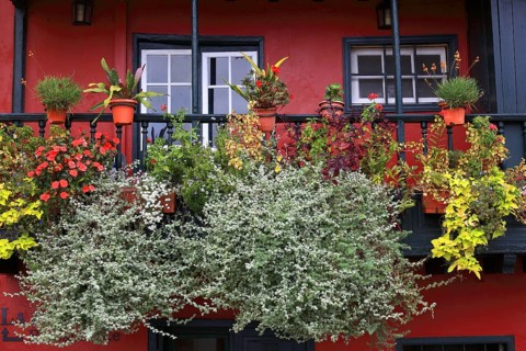 Typical balcony houses on the shore road in the town of Santa Cruz de la Palma