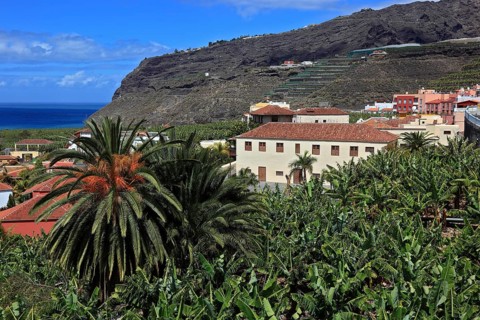 Banana plantations in the southwest of the island near Tazacorte