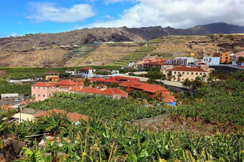 Banana plantations in the southwest of the island near Tazacorte