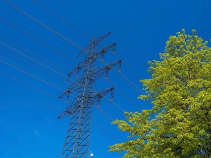 High-voltage power line behind trees at the Hardtwald West motorway service station