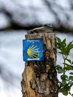 Signpost on the Pilgrim's Way