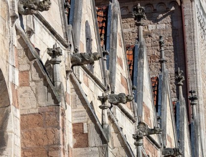Gargoyles at Brunswick Cathedral