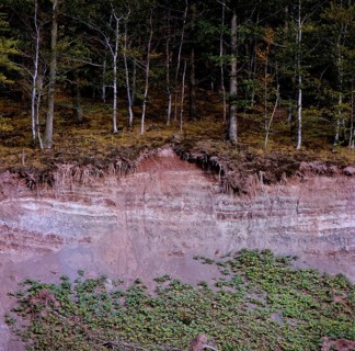 Landslide in the forest Erosion