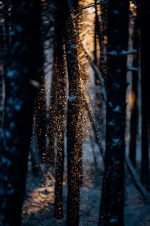 Trickling snow against the light