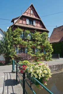 Wissembourg, vine-covered house on the Lauter Canal