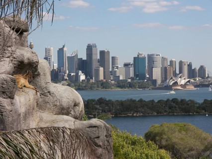 View from Taronga Zoo of the Sydney skyline with the Opera House, Australia -