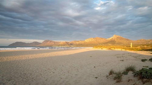 Evening atmosphere at the sandy beach Playa Sa Canova in Son Serra de Marina, in the back mountains Serres de Llevant