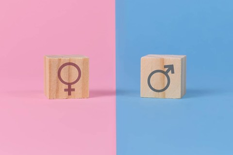 Gender stereotypes showing cubes with male and female signs on pink and blue background,